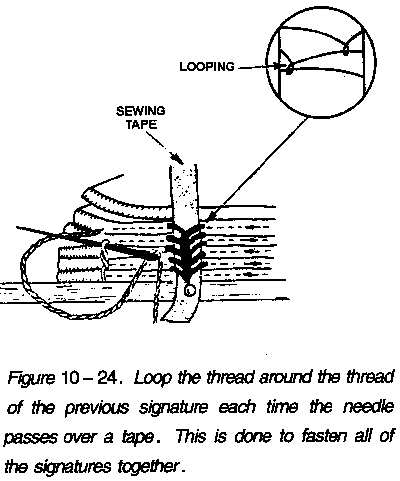 Loop the thread around the thread of the previous signature each time the needle passes over a tape. This is doneto fasten all of the signatures together.